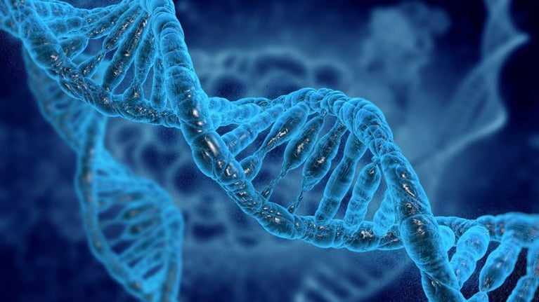 Physicaly-immune-768x432