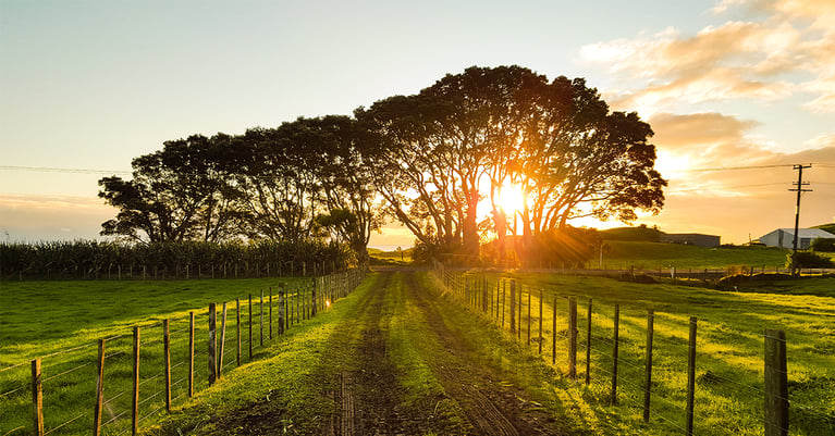 Rural Broadband Funding Commentary